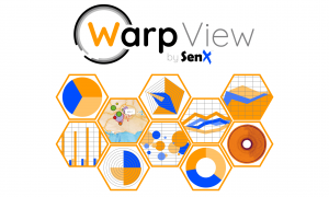 WarpView dataviz